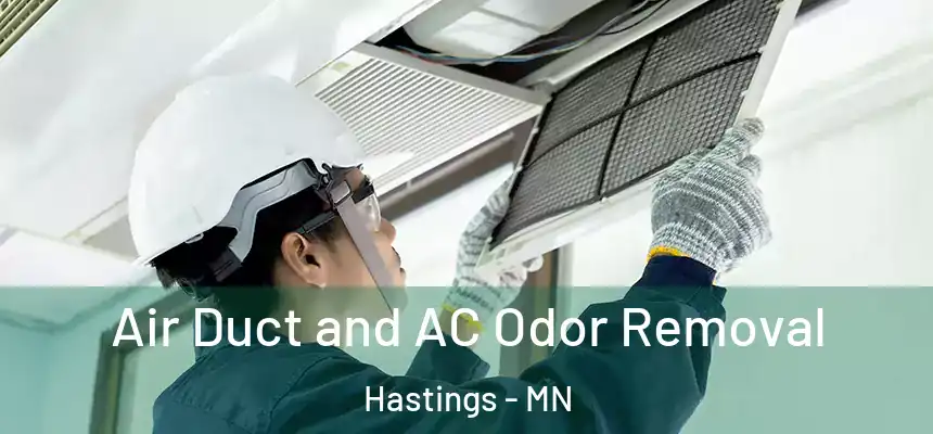  Air Duct and AC Odor Removal Hastings - MN