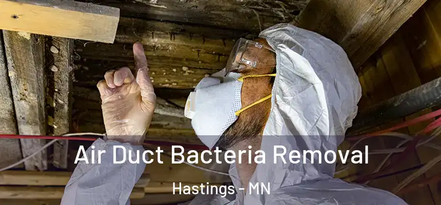 Air Duct Bacteria Removal Hastings - MN