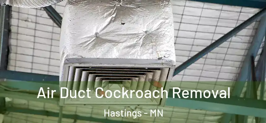  Air Duct Cockroach Removal Hastings - MN
