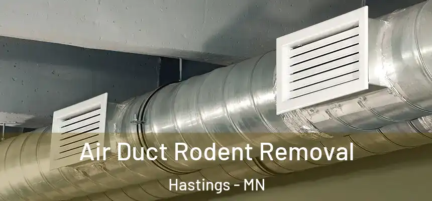  Air Duct Rodent Removal Hastings - MN