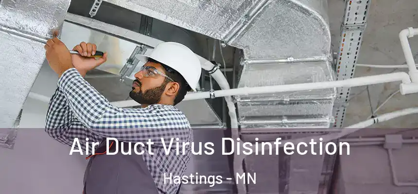 Air Duct Virus Disinfection Hastings - MN