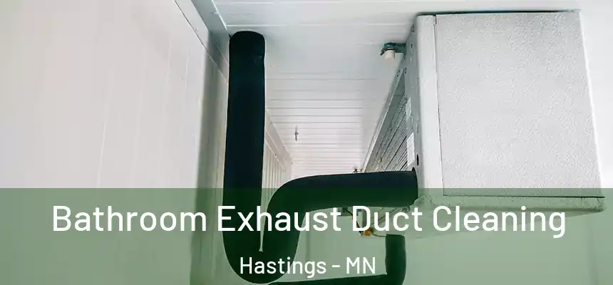  Bathroom Exhaust Duct Cleaning Hastings - MN