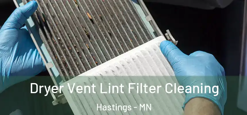  Dryer Vent Lint Filter Cleaning Hastings - MN