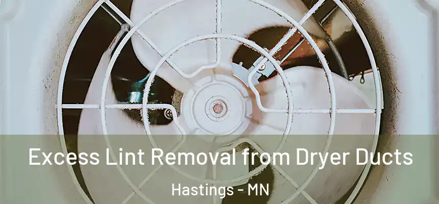 Excess Lint Removal from Dryer Ducts Hastings - MN