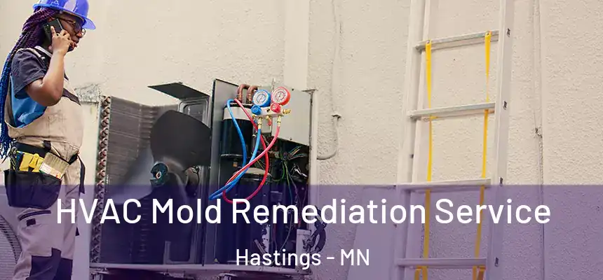  HVAC Mold Remediation Service Hastings - MN
