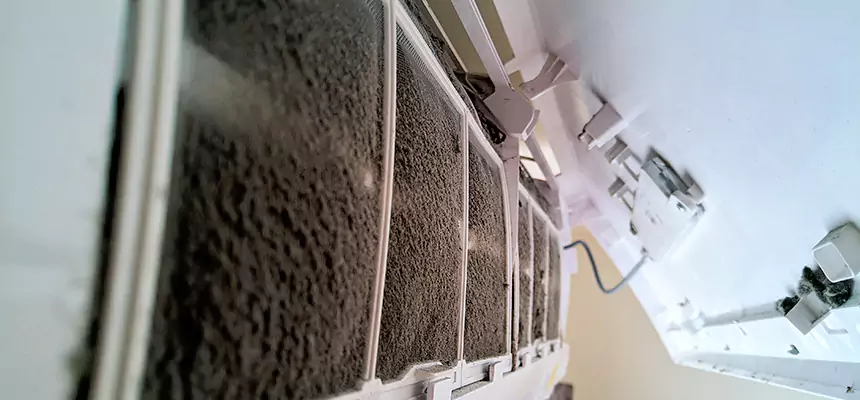 Preventive Air Duct Bacteria Removal in Hastings