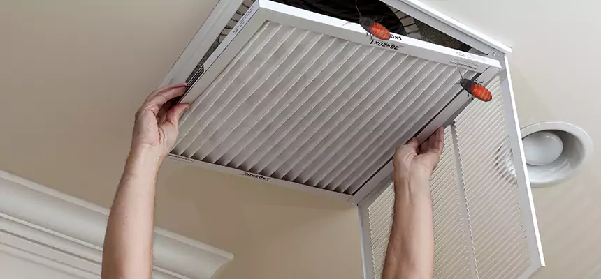 Preventive Cockroach-Proofing for Ducts in Hastings
