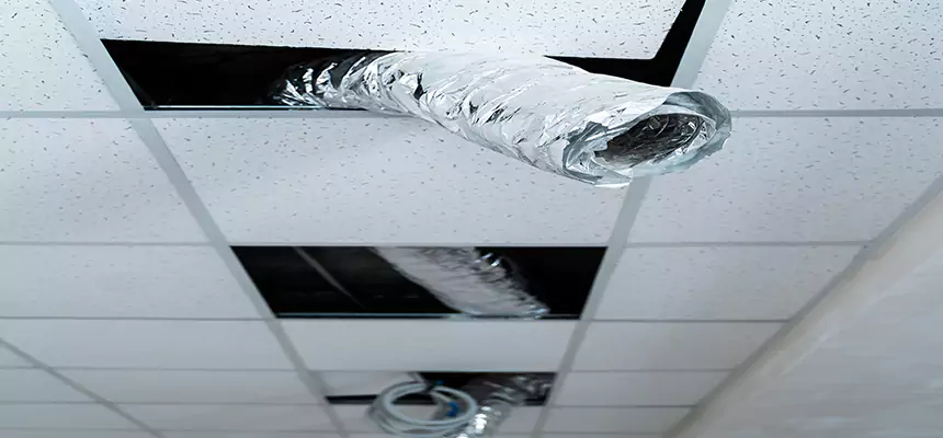 Our Air Duct Pet Hair Removal Services in Hastings, MN