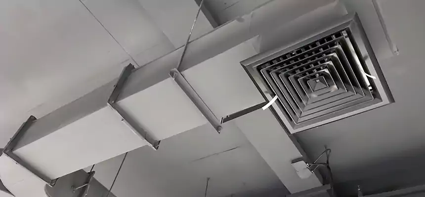 Restorative Allergy Relief Vent Cleaning – Coil, Blower & Housing Detail in Hastings