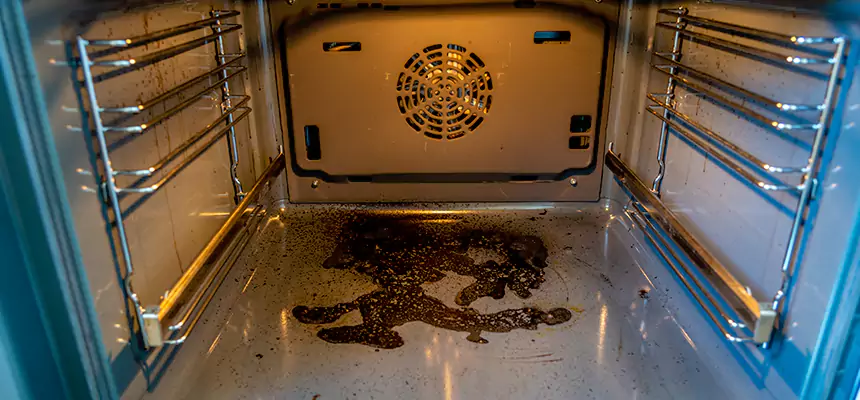 Our Dryer Vent Mold Cleaning Services in Hastings, MN