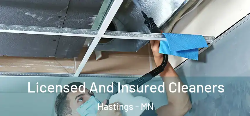 Licensed And Insured Cleaners Hastings - MN
