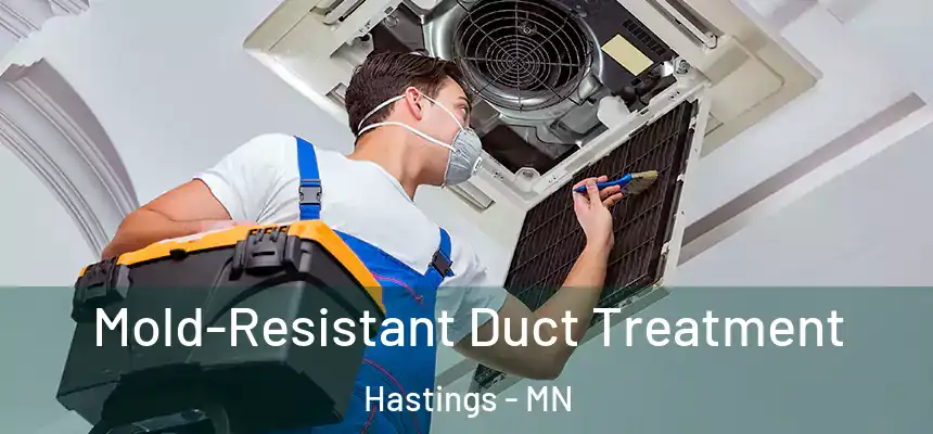  Mold-Resistant Duct Treatment Hastings - MN