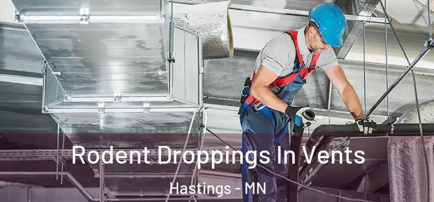 Rodent Droppings In Vents Hastings - MN