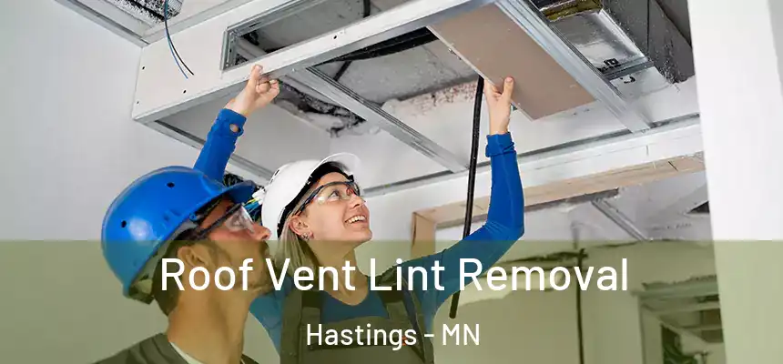 Roof Vent Lint Removal Hastings - MN