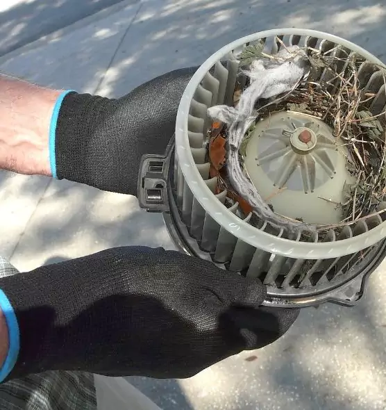 About Air Duct Mice Removal in Hastings, MN