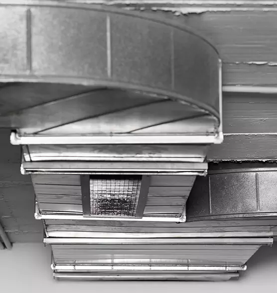 Professional Air Duct Pest Removal in Hastings, MN