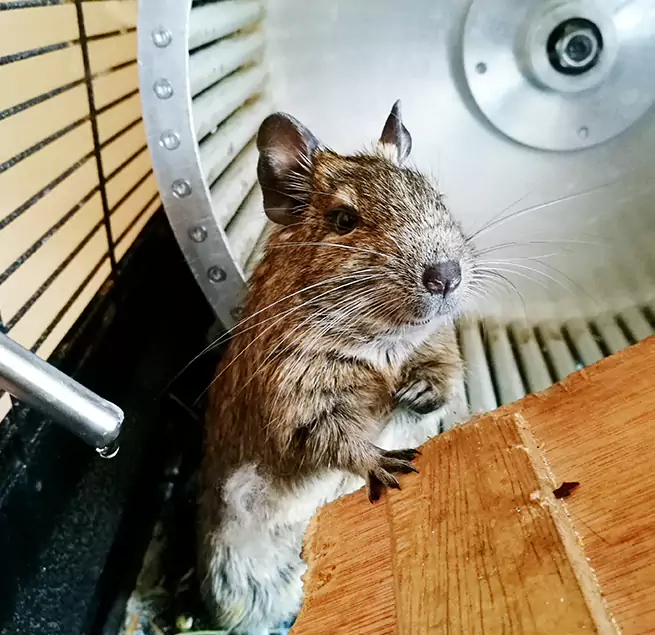 Why Homeowners & Businesses Trust Us Hastings, MN