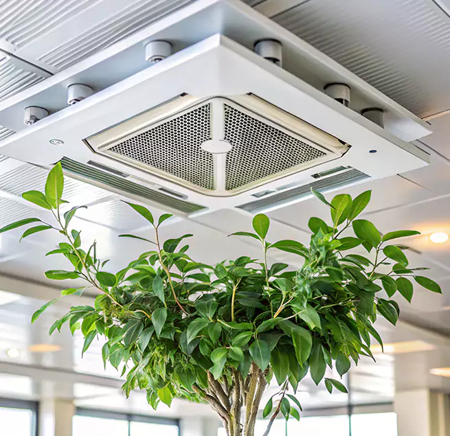 Why Homeowners & Businesses Trust Us in Hastings, MN?